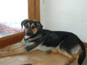 2005_0309image0001.jpg