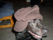 dscf0124.jpg